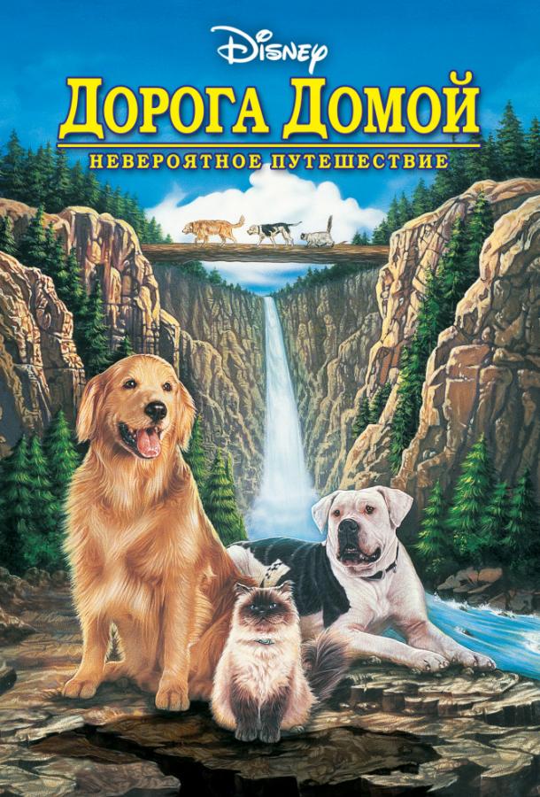 Фильм Дорога домой: Невероятное путешествие (1993) смотреть онлайн